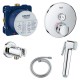 Душ гигиенический с термостатом 1 режим струи Grohe Grohtherm SmartControl 2911827512